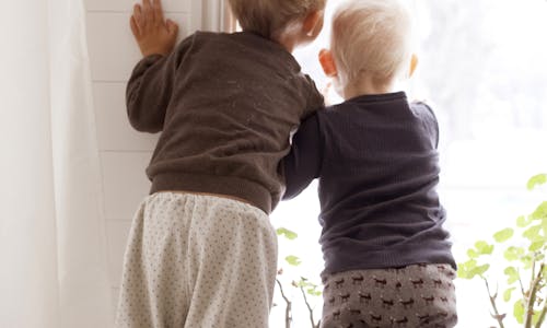 Derfor er trefiberbaserte byggematerialer et smart valg