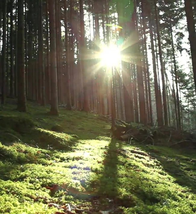 Hunton - I bresjen for en miljøfokusert byggebransje