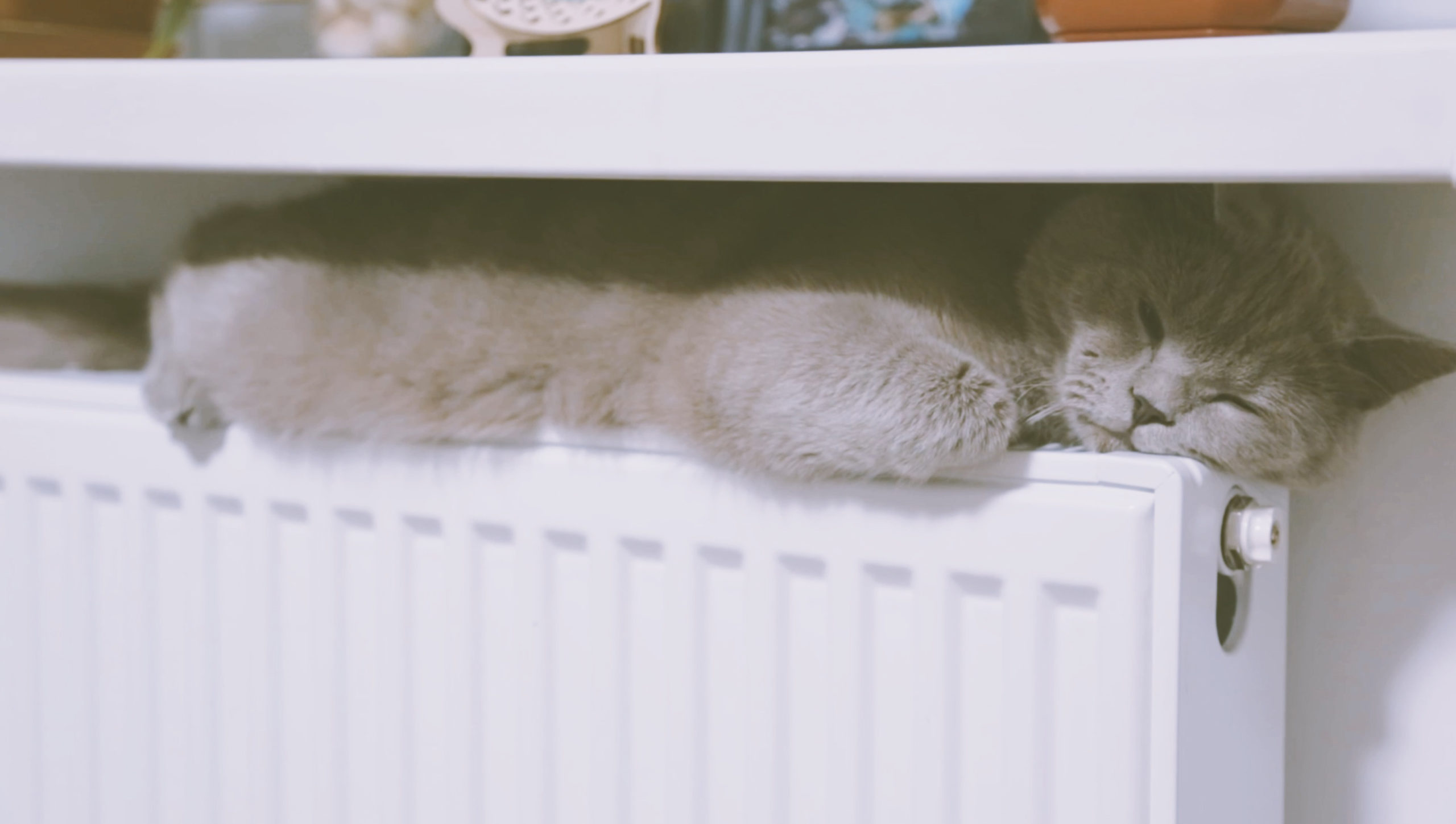 Hunton - Mange grunner til å velge trefiber&shy;isolasjon