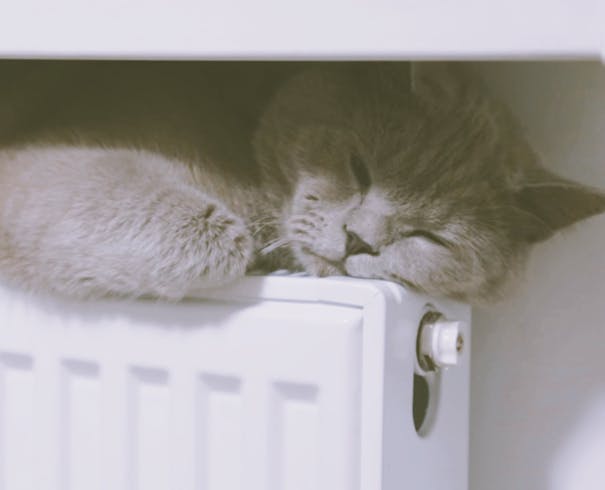 Katt ligger oppå radiator og varmer seg
