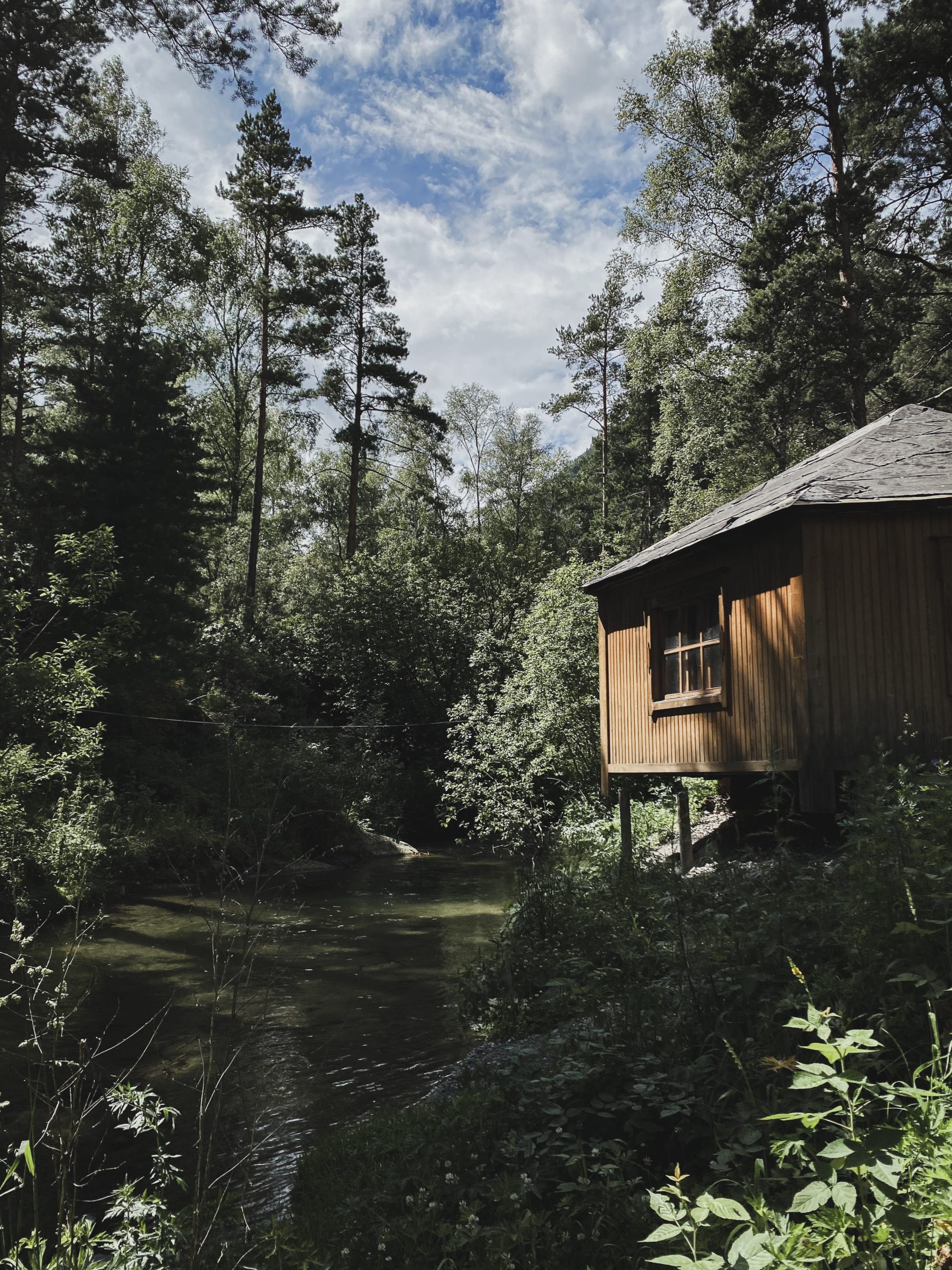 Hunton - 2021 – hobbysnekkerens år på hytta?