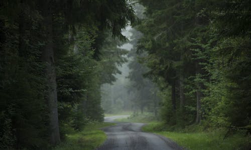 Sustainability Report 2024