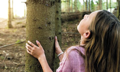 Brug af træ giver klimaer en fremtid