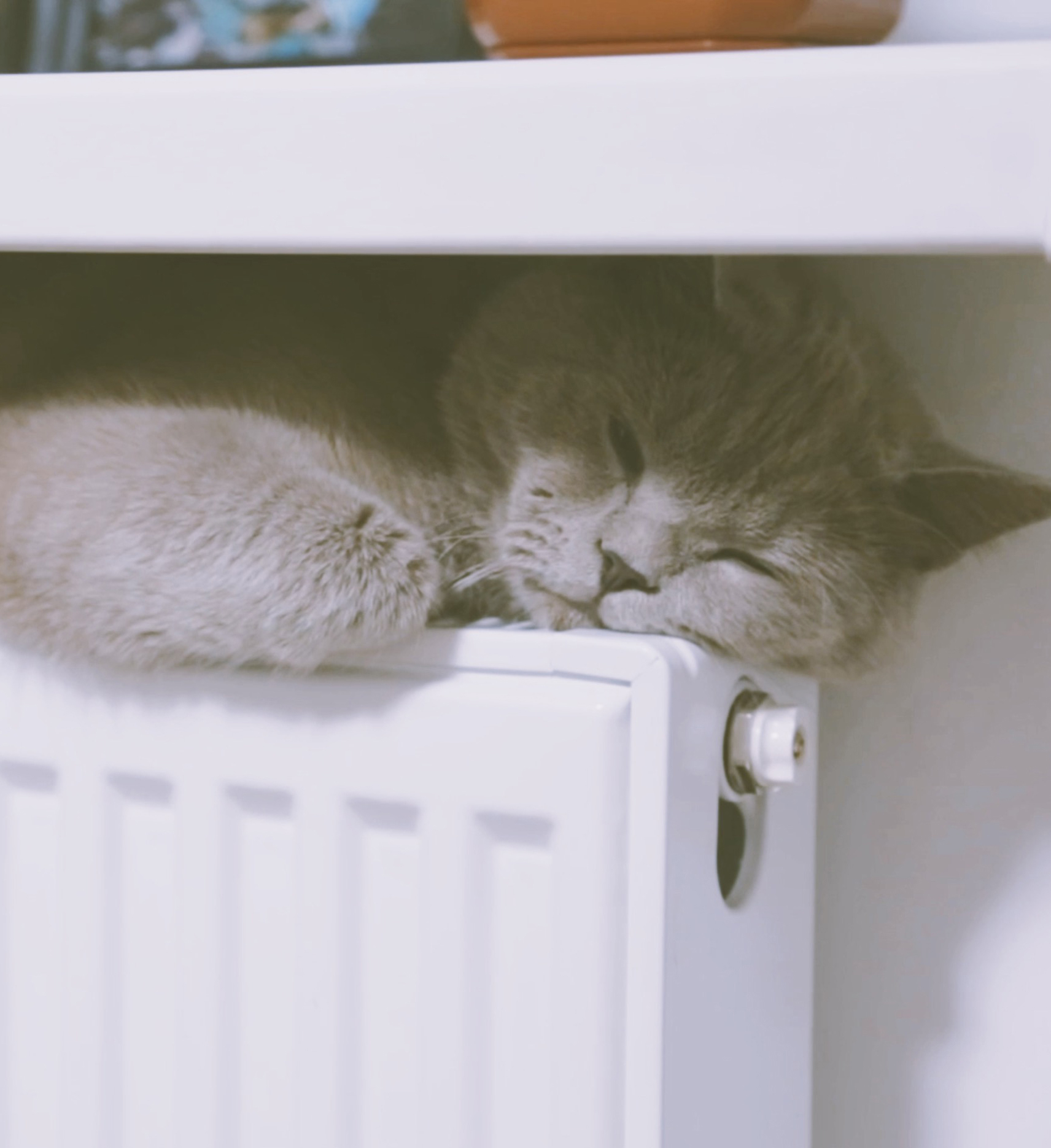 Hunton - Många goda skäl att välja träfiberisolering