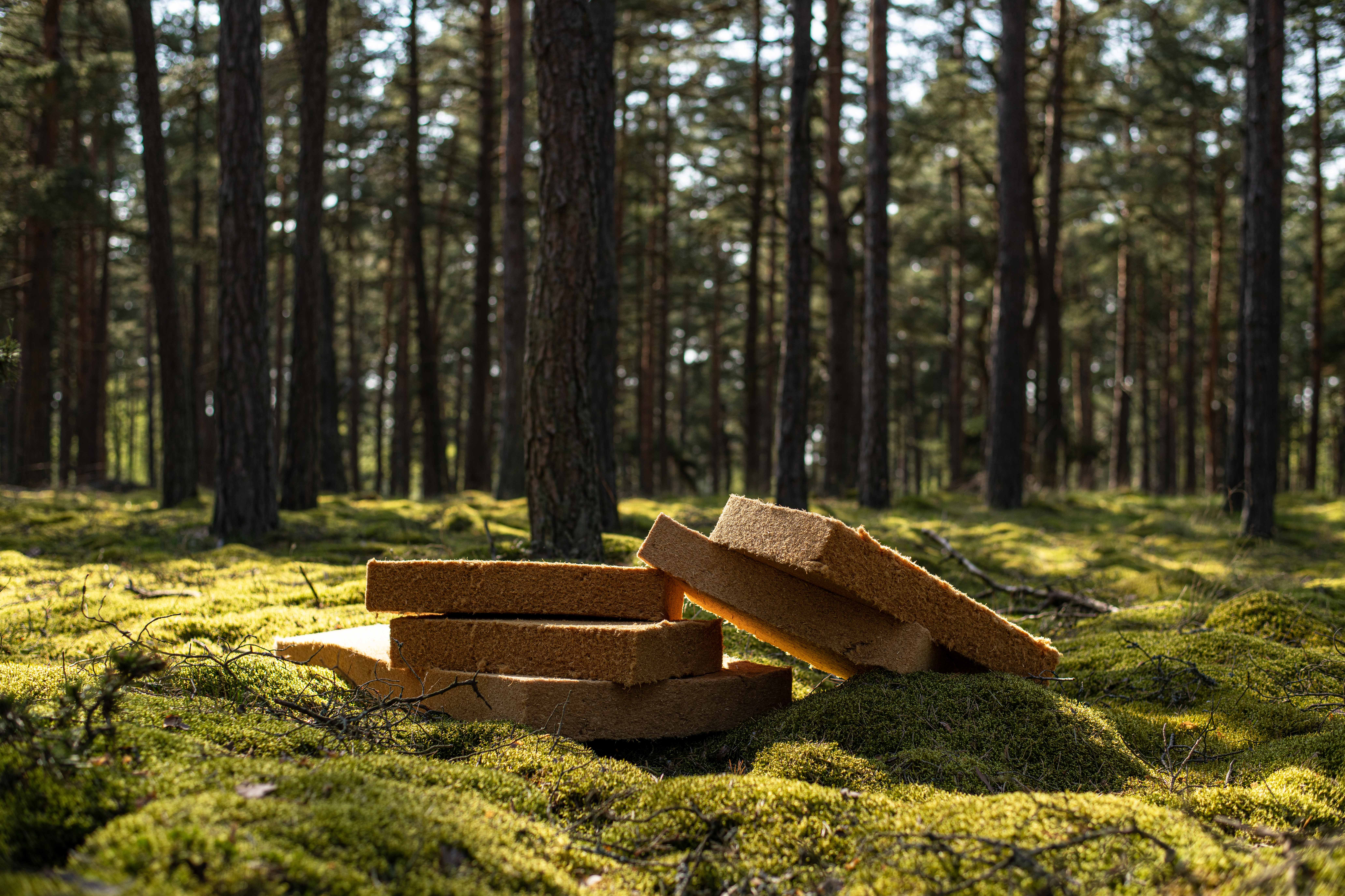 Hunton - Stolt partner av Sommar med Ernst sommaren 2021